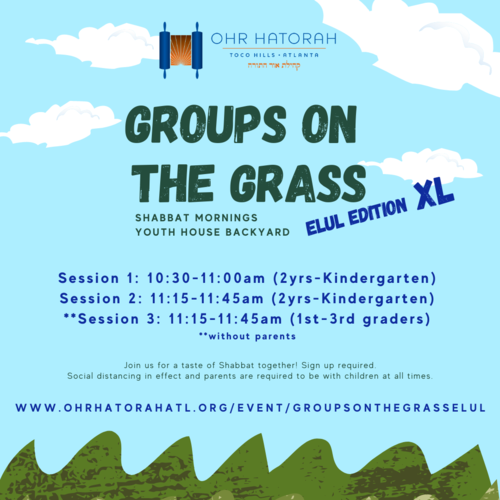 Banner Image for Groups on the Grass